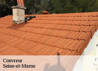 Couvreur Seine-et-Marne