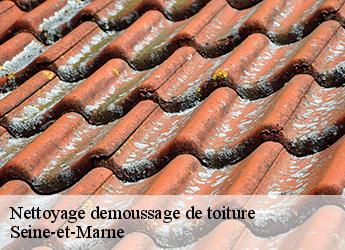 Nettoyage demoussage de toiture