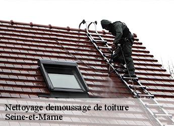 Nettoyage demoussage de toiture