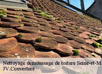Nettoyage demoussage de toiture Seine-et-Marne