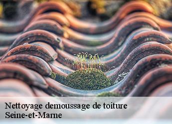 Nettoyage demoussage de toiture Seine-et-Marne