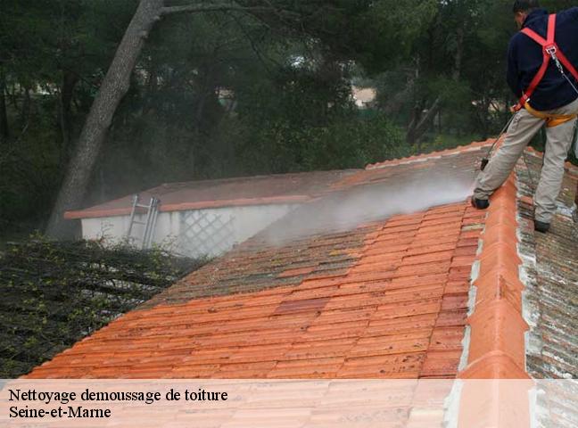 Nettoyage demoussage de toiture Seine-et-Marne 