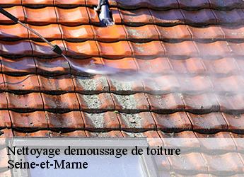 Nettoyage demoussage de toiture Seine-et-Marne