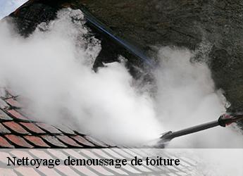 Nettoyage demoussage de toiture Seine-et-Marne 