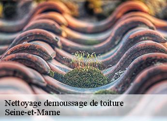 Nettoyage demoussage de toiture Seine-et-Marne 