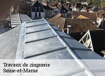 Travaux de zinguerie Seine-et-Marne 