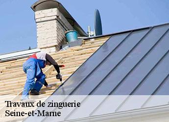 Travaux de zinguerie Seine-et-Marne 