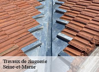 Travaux de zinguerie Seine-et-Marne 