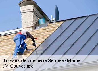 Travaux de zinguerie Seine-et-Marne 