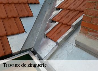 Travaux de zinguerie Seine-et-Marne 