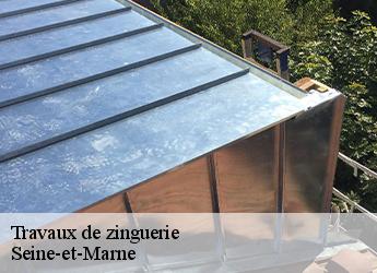 Travaux de zinguerie Seine-et-Marne 