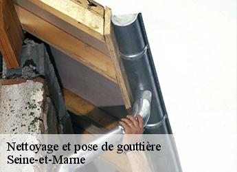 Nettoyage et pose de gouttière