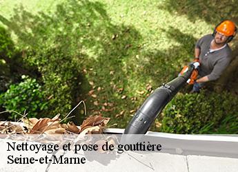 Nettoyage et pose de gouttière