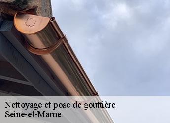 Nettoyage et pose de gouttière Seine-et-Marne 