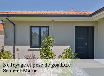 Nettoyage et pose de gouttière Seine-et-Marne