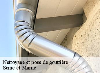Nettoyage et pose de gouttière Seine-et-Marne
