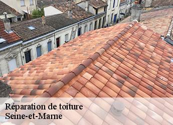 Réparation de toiture Seine-et-Marne 