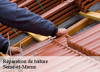 Réparation de toiture Seine-et-Marne 