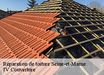 Réparation de toiture Seine-et-Marne 