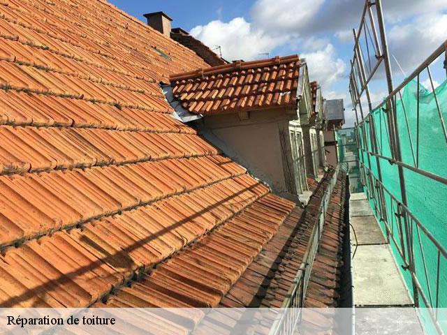 Réparation de toiture Seine-et-Marne 
