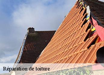 Réparation de toiture Seine-et-Marne 