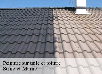 Peinture sur tuile et toiture Seine-et-Marne 