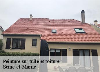 Peinture sur tuile et toiture