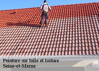 Peinture sur tuile et toiture Seine-et-Marne 