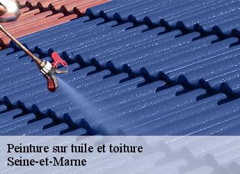 Peinture sur tuile et toiture Seine-et-Marne