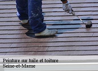 Peinture sur tuile et toiture Seine-et-Marne 