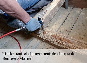 Traitement et changement de charpente