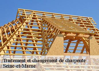 Traitement et changement de charpente