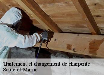 Traitement et changement de charpente Seine-et-Marne 