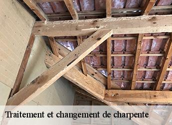 Traitement et changement de charpente Seine-et-Marne 