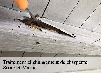 Traitement et changement de charpente Seine-et-Marne