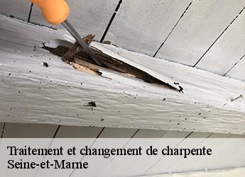 Traitement et changement de charpente Seine-et-Marne 