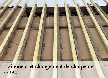 Traitement et changement de charpente  77390