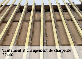 Traitement et changement de charpente  77440