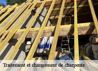 Traitement et changement de charpente  77440