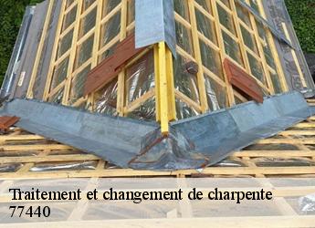 Traitement et changement de charpente  77440