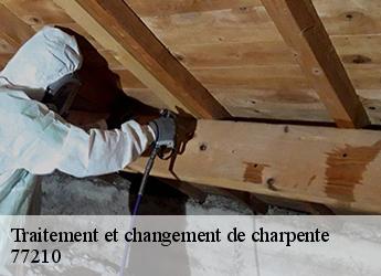 Traitement et changement de charpente  77210