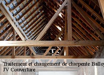 Traitement et changement de charpente  77118