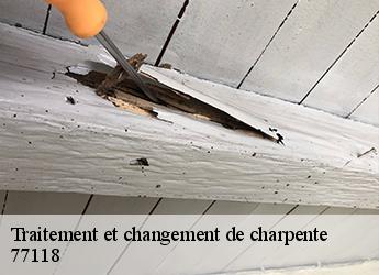 Traitement et changement de charpente  77118