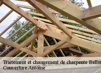 Traitement et changement de charpente  bellot-77510 Couverture Antoine