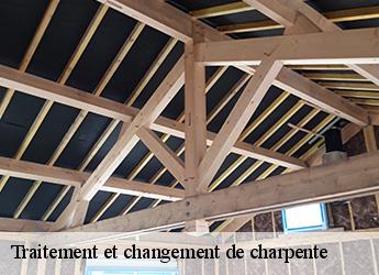 Traitement et changement de charpente  77350