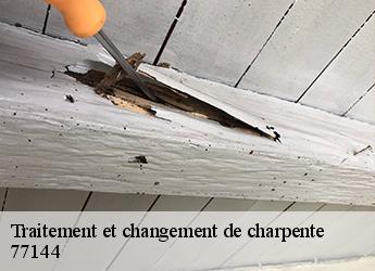 Traitement et changement de charpente  77144