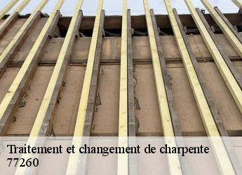 Traitement et changement de charpente 77260