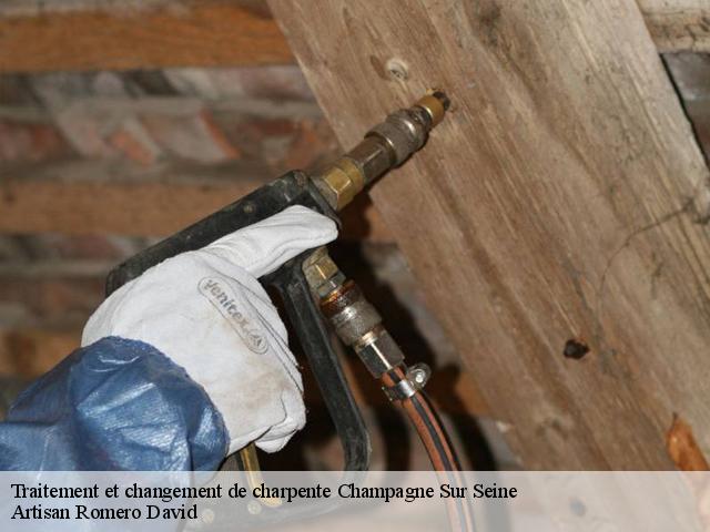 Traitement et changement de charpente  champagne-sur-seine-77430 Artisan Romero David