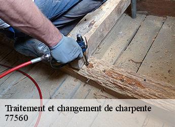 Traitement et changement de charpente