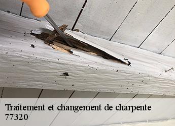 Traitement et changement de charpente 77320